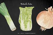 Watercolor abc vegetables clipart, a Food Illustration by Art and Funny (Thumbnail 3 of 3)
