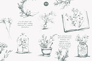 apothecary clipart vintage collectio, a Decorative Illustration by Patishop Art (Thumbnail 5 of 10)