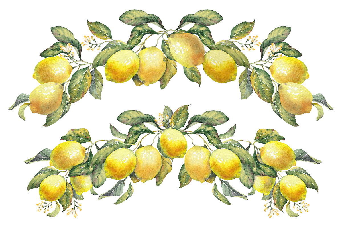 Lemon Garden Watercolor Cliparts, a Decorative Illustration by Jeanna Draw (Photo 6 of 11)