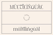 Onteal - Serif Display Ligature Font, a Serif Font by Vesvocrea (Thumbnail 5 of 9)