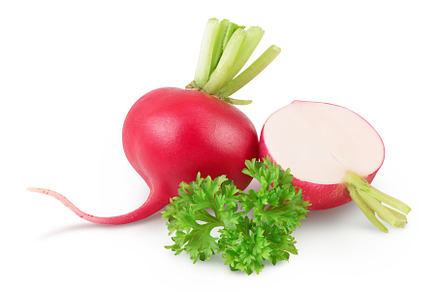 Radish with half isolated on white, a Food & Drink Photo by NataPhoto