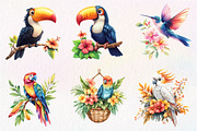Tropical Bird Png, Jungle Bird Clipa, an Illustration by CreationArt (Thumbnail 6 of 9)
