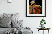 100 Photos of The Siamese Betta fish, an Animal Photo by coffeelover (Thumbnail 9 of 12)