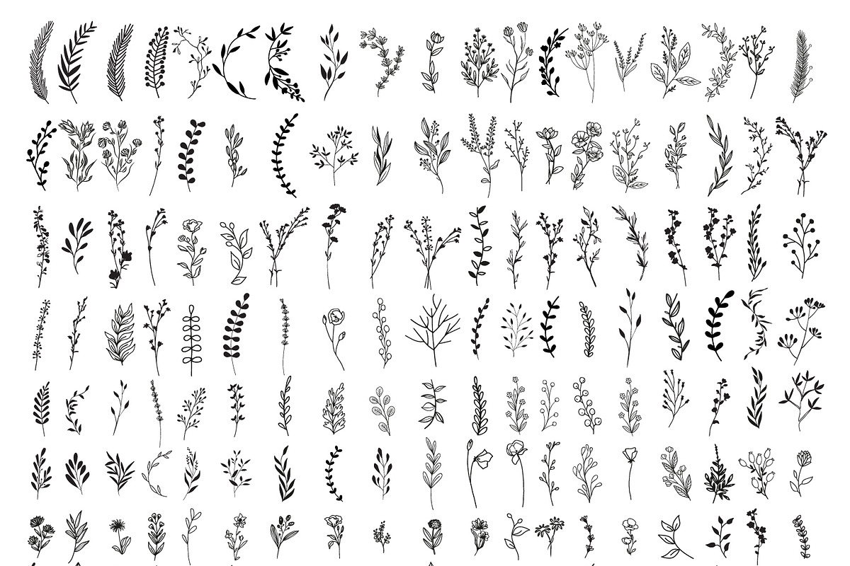 170 Wildflowers Line Art Botanicals, an Illustration by LifestyleCraftCo (Photo 2 of 7)