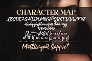 Fedattona Brush LS, a Font by GranzCreative (Thumbnail 12 of 18)