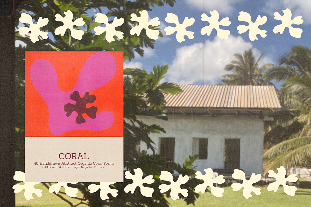 Coral – Hand Drawn Coral Forms, a Decorative Illustration by Madeline ODonoghue Design (Photo 12 of 15)