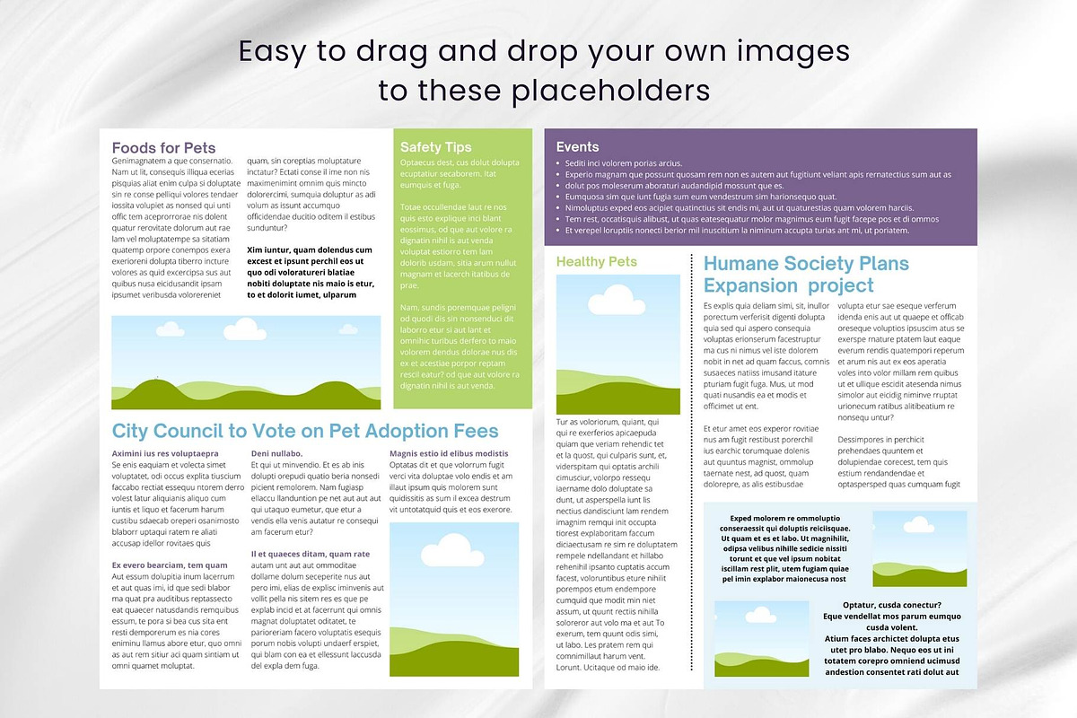 Canva Newsletter Template Pet Care, an Email Template by PixelCraft (Photo 11 of 15)