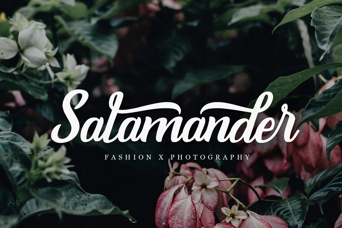Burgundy - Handmade Font preview 2
