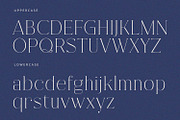 Fracture - Serif Font, a Serif Font by Alpaprana (Thumbnail 8 of 10)