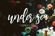 Denarrio Script 80%off, a Script Font by Studio design (Thumbnail 7 of 9)