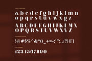 Magnes Elegant Serif Font, a Serif Font by Elegant Font (Thumbnail 7 of 8)