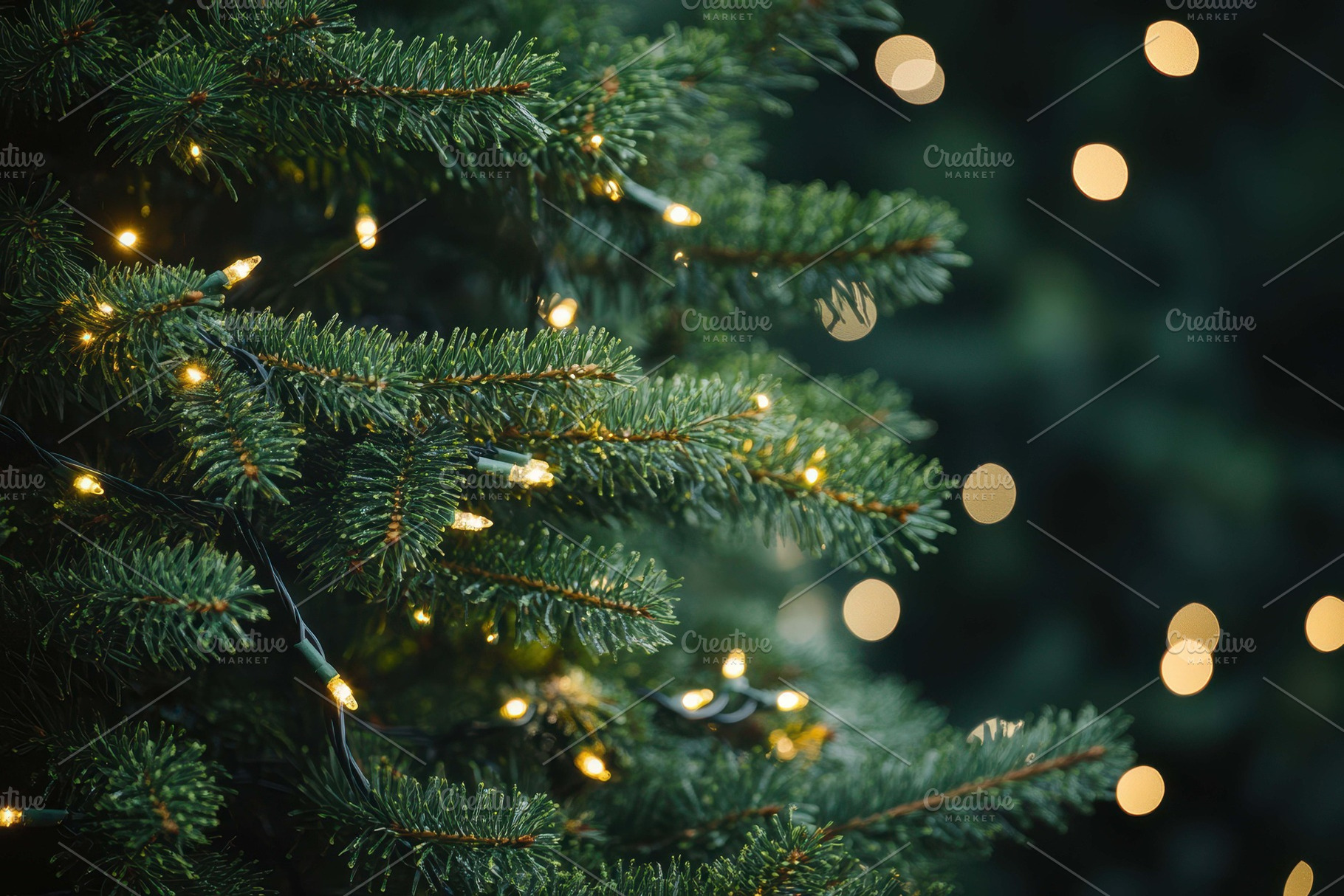 Glowing lights adorn evergreen branc, a Photo by Tanuart