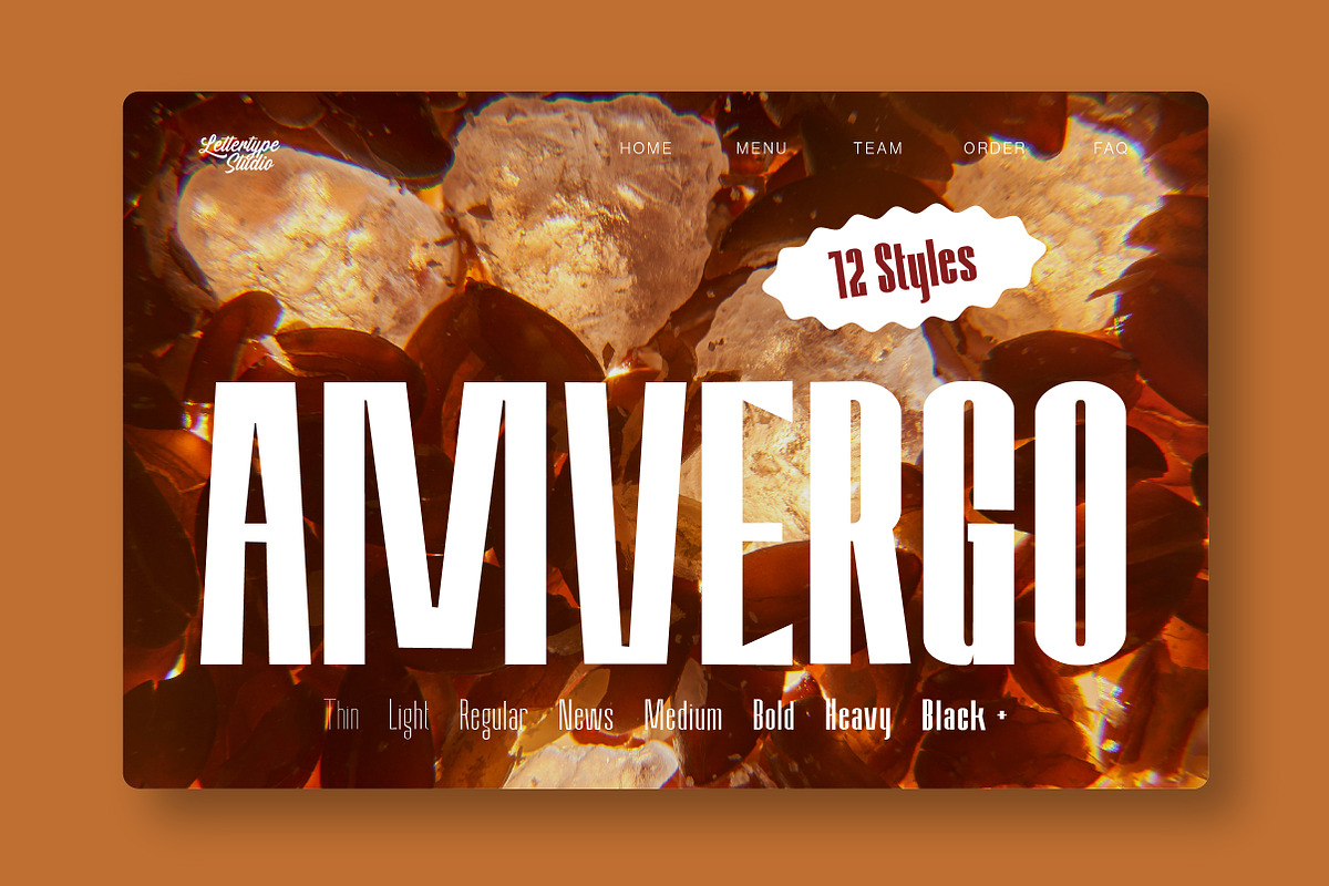 Amvergo Modern Sans Family, a Sans Serif Font by Lettertype Studio (Photo 10 of 18)