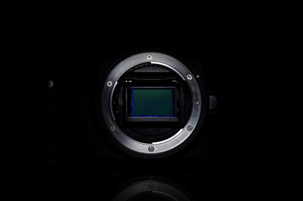 Camera's Heart (2nd Photo For Free)