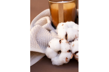 Cotton buds on brown, a Nature Photo by Neirfy