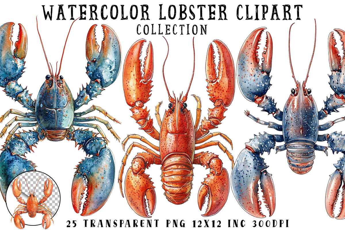 Watercolor Lobster Clipart, an Illustration by OK Design (Photo 1 of 6)