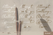 Javyer, a Script Font by din-studio.com (Thumbnail 9 of 10)