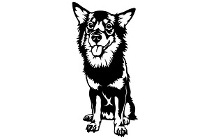 Chihuahua mix Dog Breed - Pet Vector, an Animal Illustration by Digital-Clipart