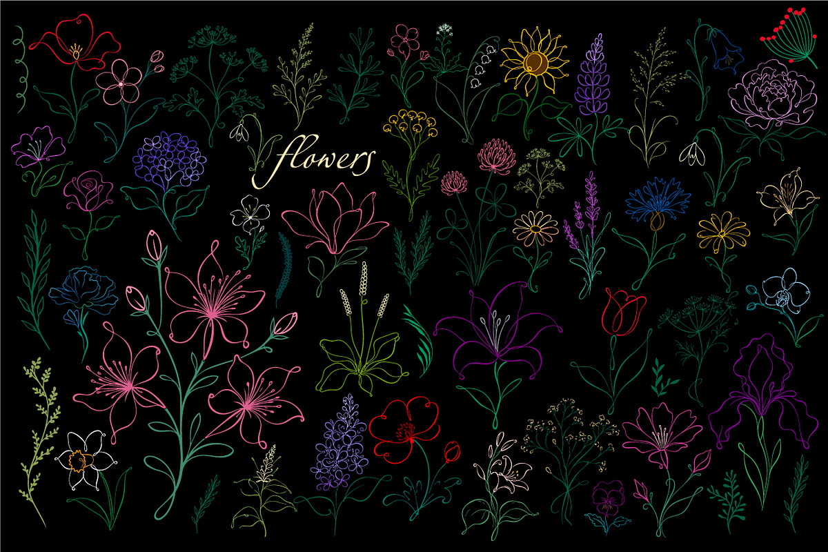 Elegant single-line flowers., a Decorative Illustration by Nenahliadava Design (Photo 2 of 7)