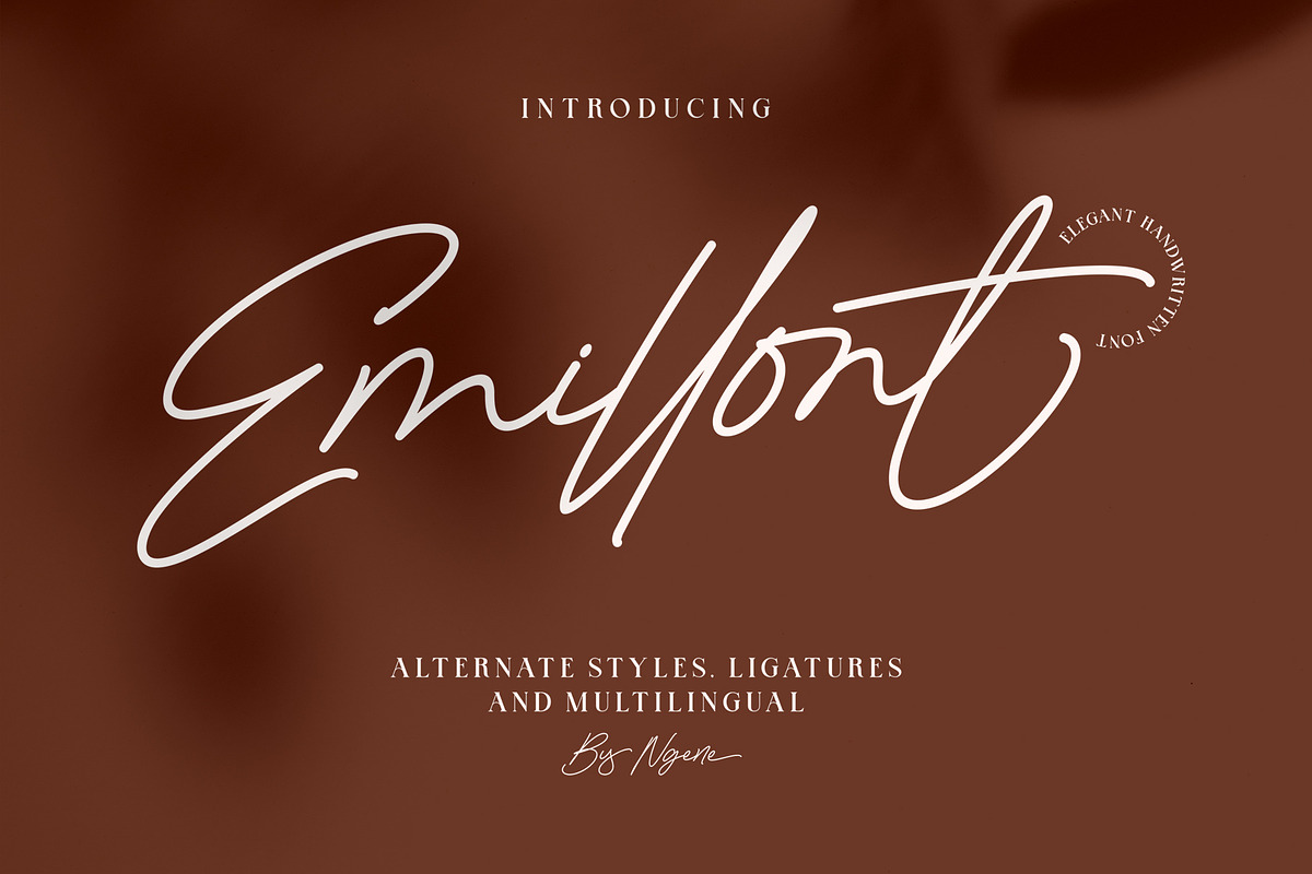 Emillont, a Script Font by ngene (Photo 1 of 11)