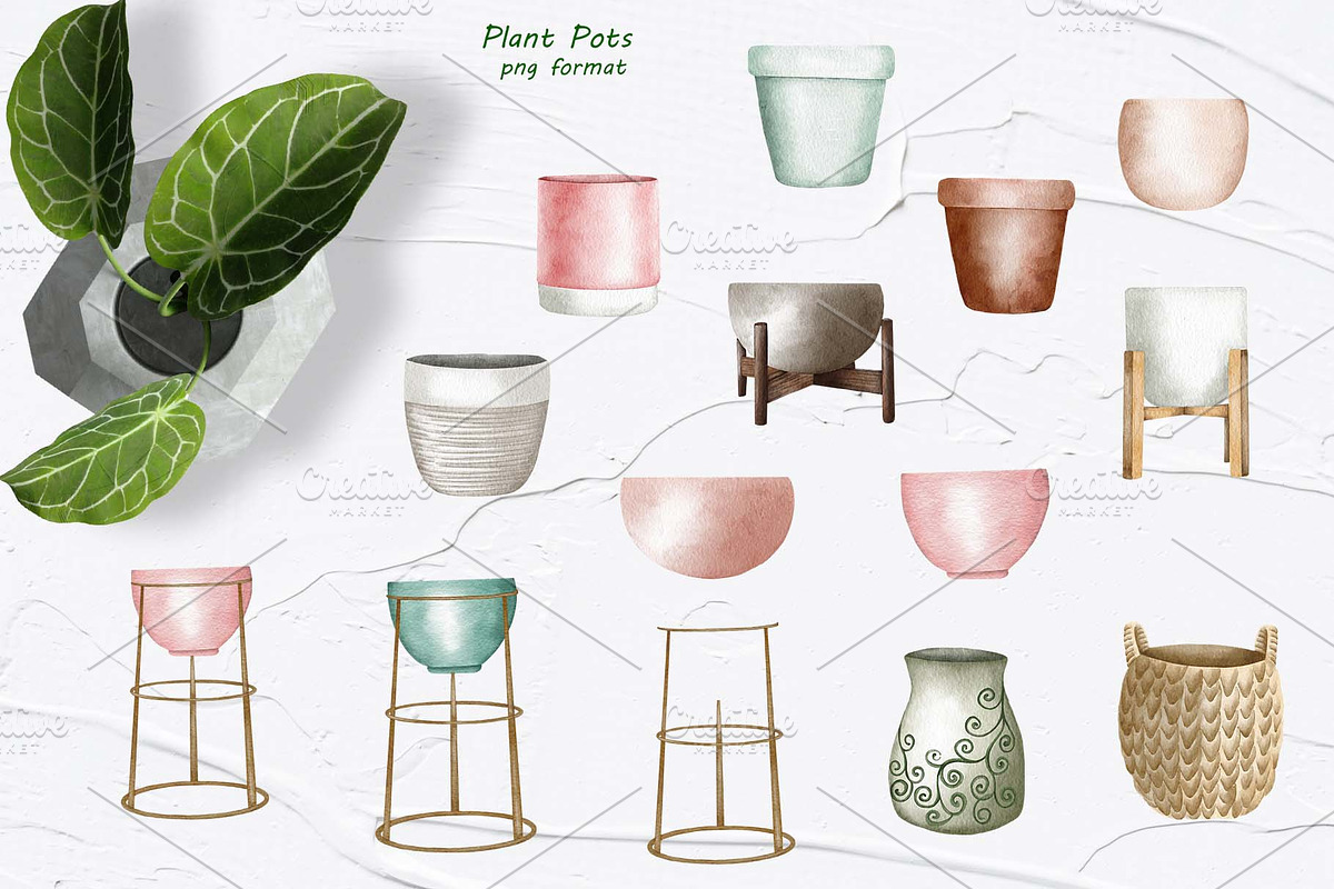 Philodendron Plans Watercolor Set, a Decorative Illustration by BarvArt (Photo 4 of 7)