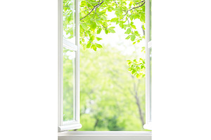 Open window with fresh greenery and, a Nature Photo by Lermont51
