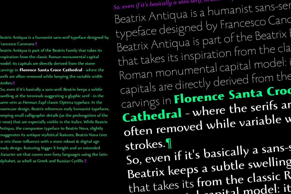 Beatrix Antiqua - 18 fonts preview 2