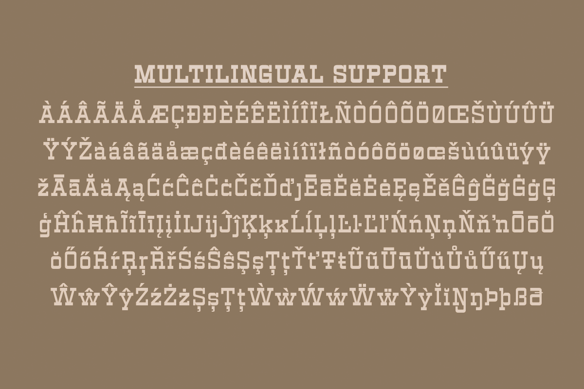 Vegelinu - Slab Display Family, a Slab Serif Font by Differentialtype (Photo 12 of 12)