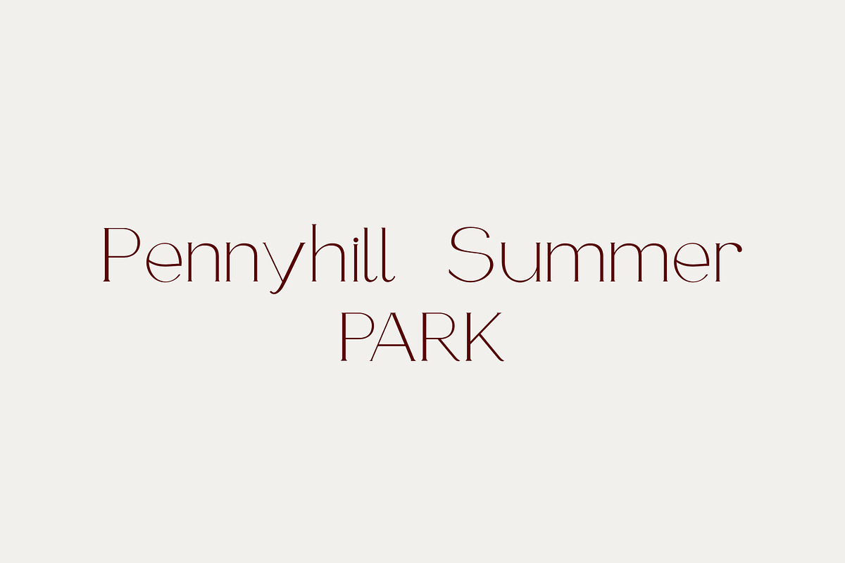 Armeria - serif font, a Serif Font by Art pages (Photo 2 of 8)
