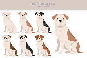 American Bulldog Clipart