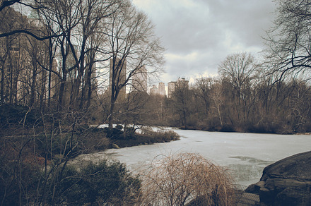 New york  central park 02 featuring new york, skyline, and architecture, an Architecture Photo by PhotoMarket