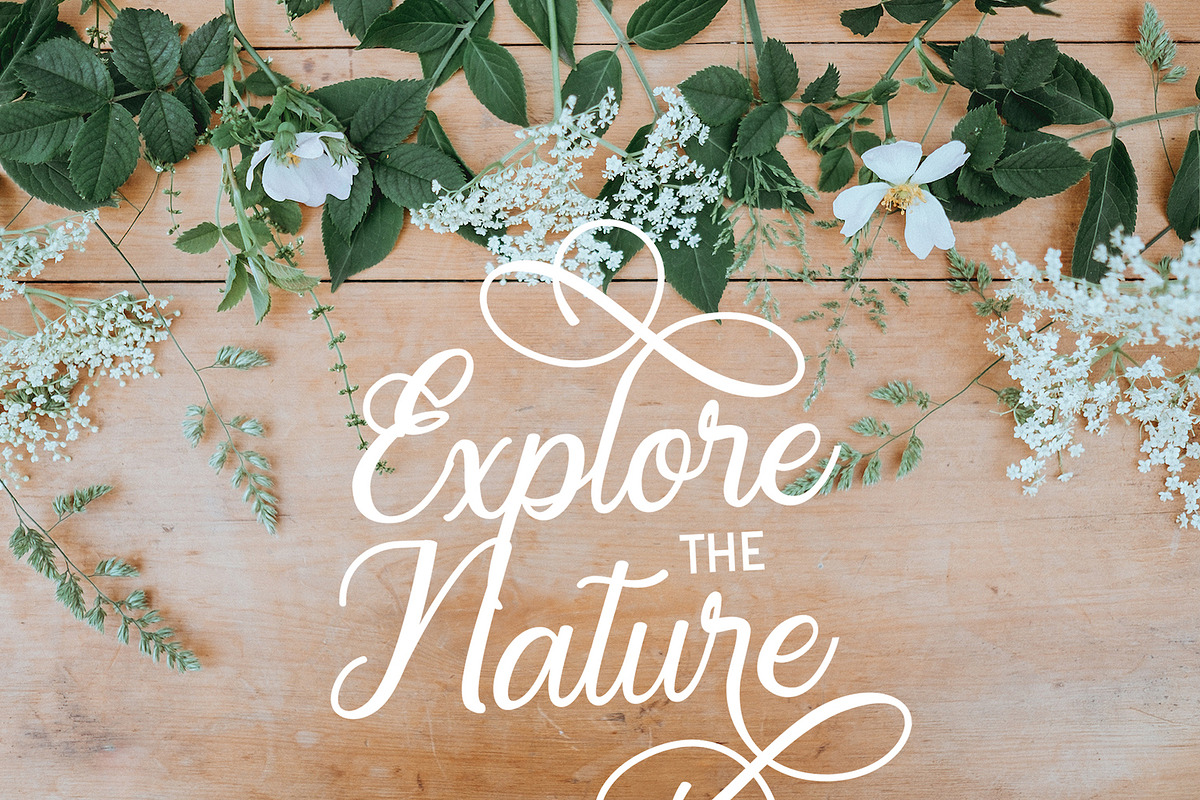 Regalhisa - Calligraphy Font preview 5