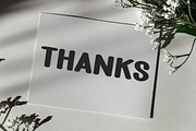 Bird Nest, a Script Font by FreshTypeINK (Thumbnail 7 of 8)