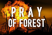 The Forest Hunter, a Font by Limited.studio (Thumbnail 5 of 7)