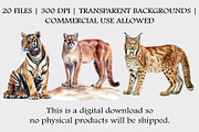 Watercolor Wild Cats Clipart Set, an Animal Illustration by CropUp Creative (Thumbnail 4 of 4)
