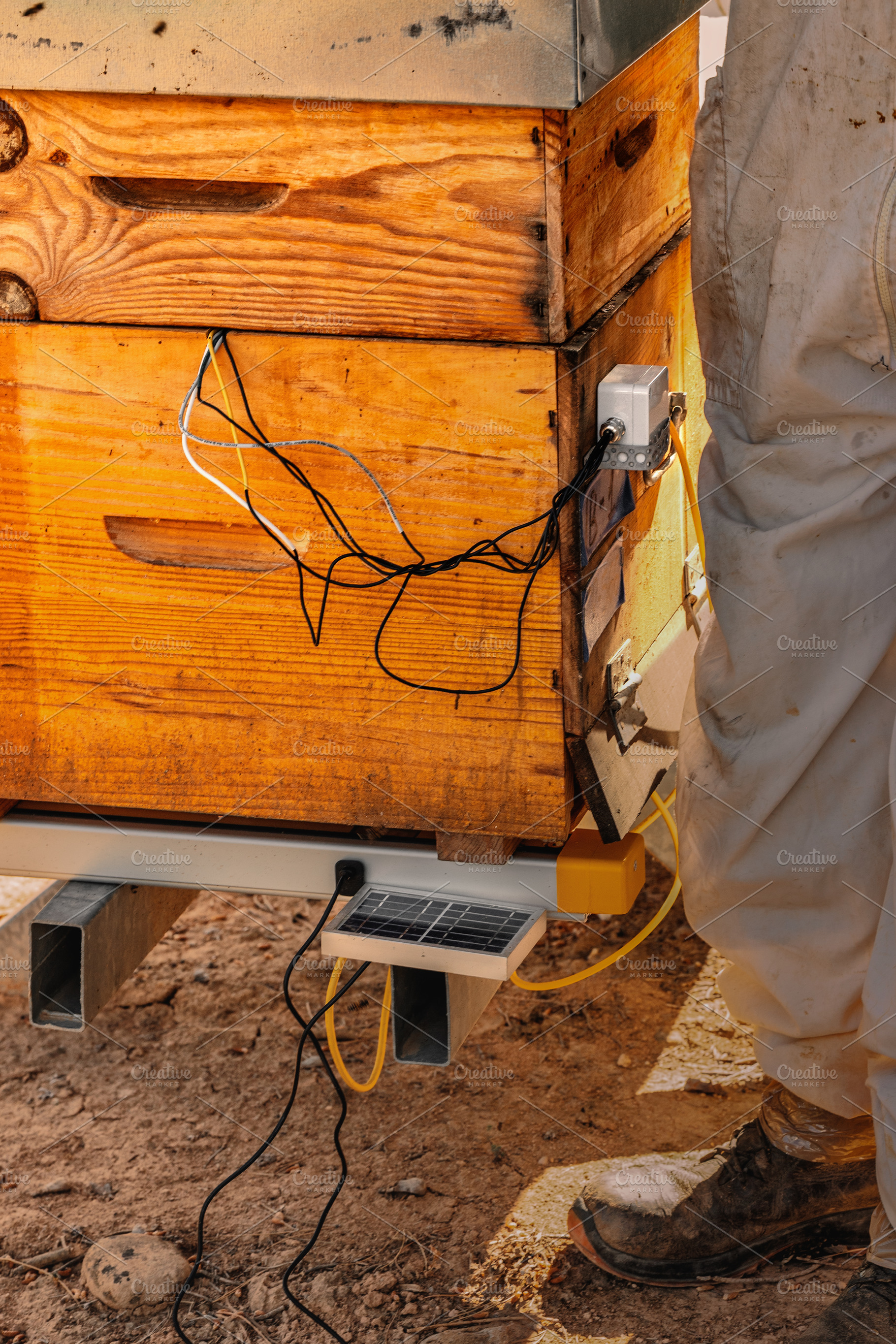 Smart hive connected with sensors an, a Technology Photo by Perpis
