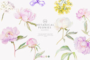 watercolor coquette pink peony set, a Decorative Illustration by Patishop Art (Thumbnail 2 of 10)