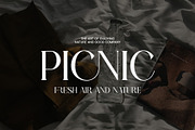 Haliko Elegant Serif Font, a Serif Font by Graphicxell (Thumbnail 7 of 8)