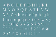 Megina Elegant Serif Typeface, a Serif Font by Alfinart (Thumbnail 8 of 10)