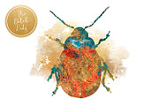 Scarabs & Beetles Clipart Set, an Animal Illustration by The Dutch Lady Designs (Thumbnail 3 of 5)