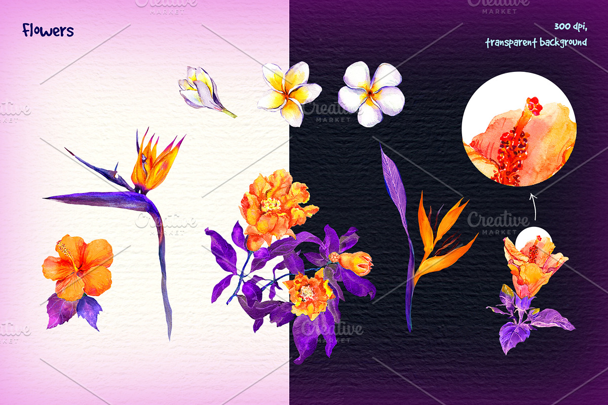 Tropical night - neon exotic flowers, an Illustration by Where summer is (Photo 2 of 6)