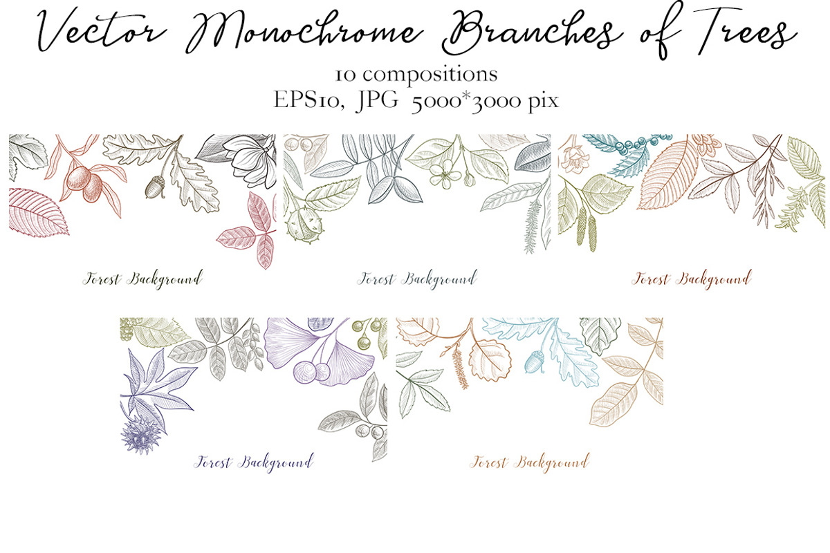 Vector Monochrome Branches of Trees, an Illustration by cat_arch_angel (Photo 8 of 12)