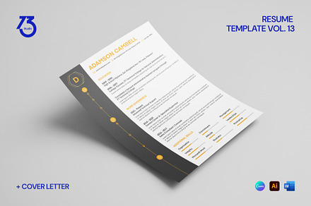 Resume Template Vol. 13