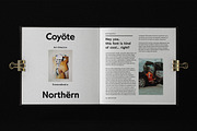 Rockhill Sans: A Diverse Sans Serif, a Sans Serif Font by Bnick (Thumbnail 16 of 23)