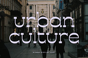 Kicked Display, a Slab Serif Font by Prioritype Co (Thumbnail 4 of 10)