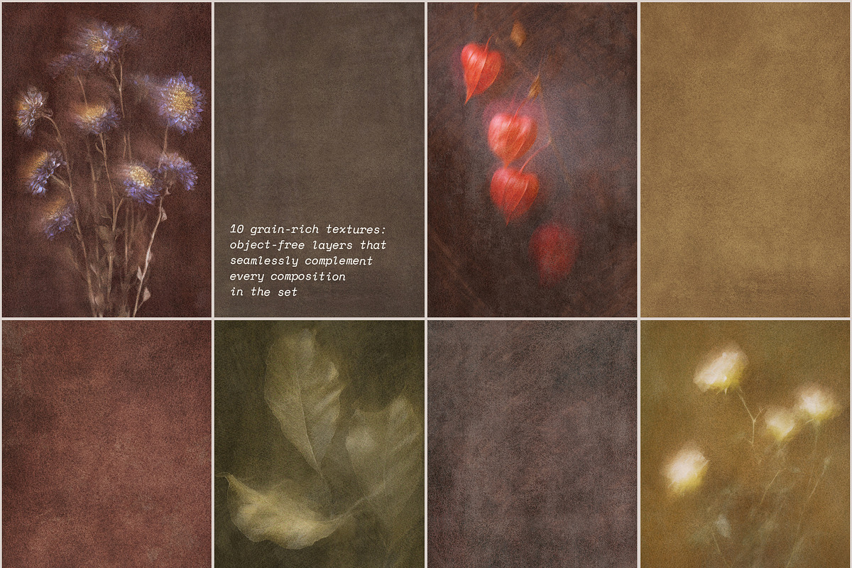Lull · Brown Botanical Autumn Series, a Background Graphic by alonahaidash (Photo 11 of 16)