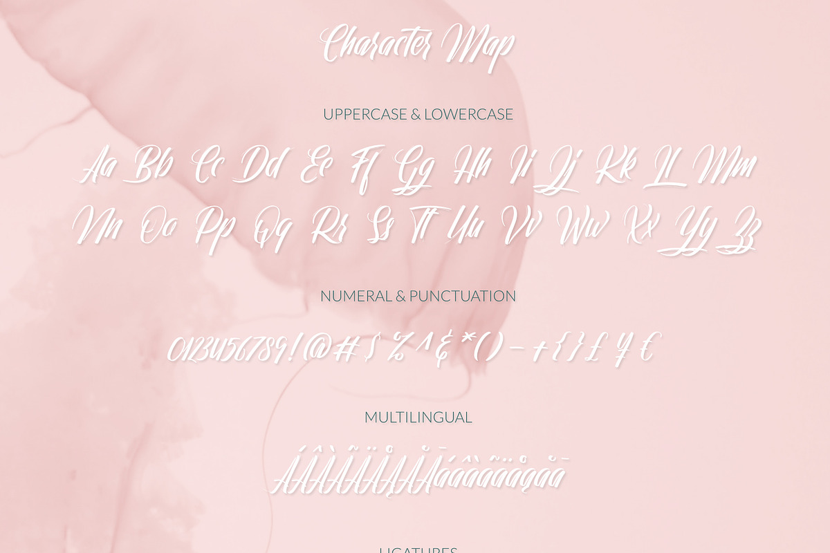 Collaborn - Modern Brush Fonts, a Script Font by SemutHitam Creative (Photo 6 of 7)