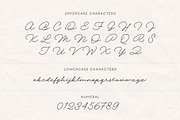 Dian Milena - Signature Script, a Script Font by Get Studio (Thumbnail 17 of 29)