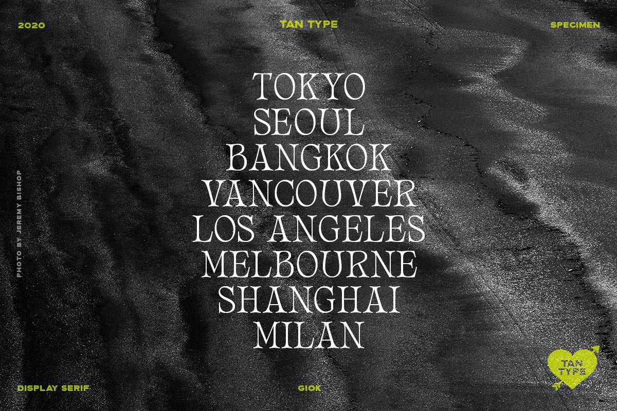 TAN - GIOK, a Serif Font by TanType (Photo 17 of 25)