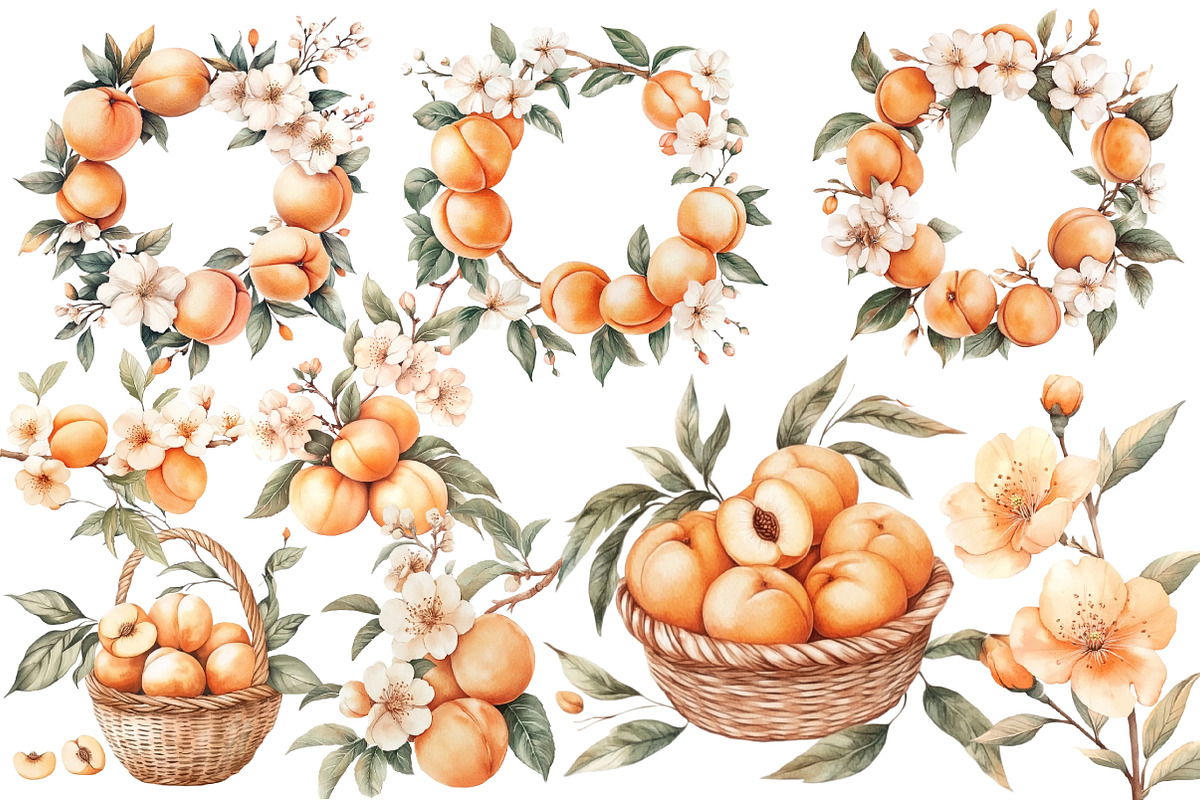 Peach Watercolor Clipart, an Illustration by Designworld (Photo 2 of 5)